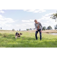 Trixie Lure Rod – Trænings- og Aktiveringslegetøj til Hunde